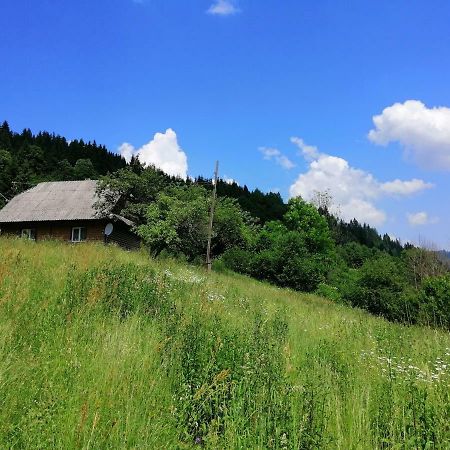 Cottage Svitanok Lopushnoye 外观 照片